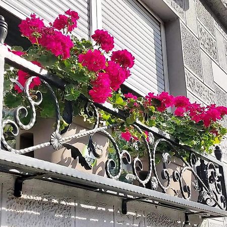 Hills Apartments Vrsac Bagian luar foto