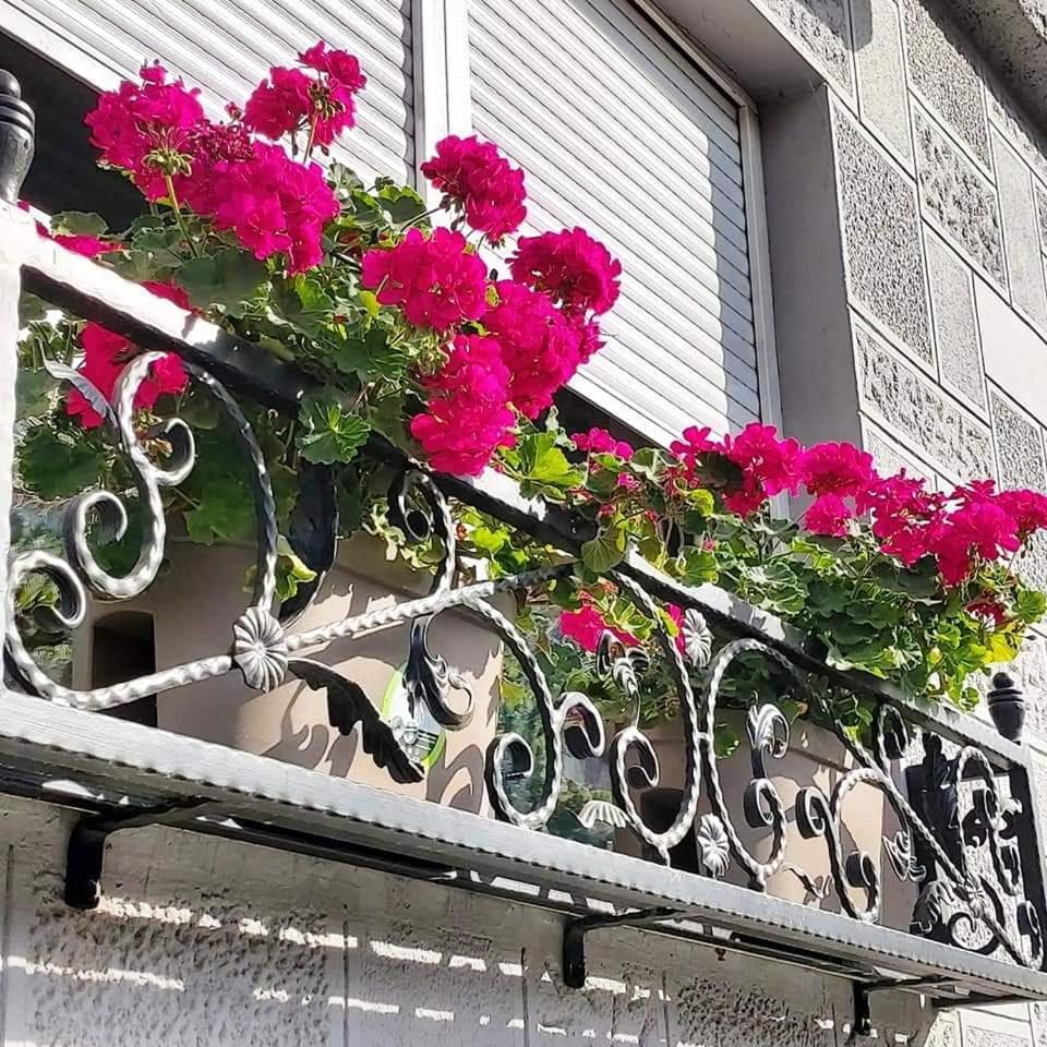 Hills Apartments Vrsac Bagian luar foto
